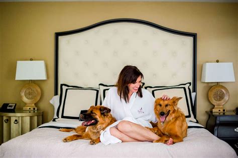 pet friendly hotel search|Pet Friendly Hotels .